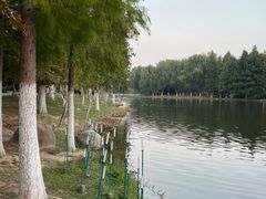 -滨湖塘西河公园