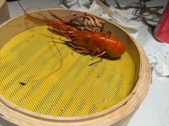 -杨氏青龙虾·吃蟹季(金盛路总店)