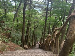 -罗田天堂寨风景区