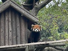 -宁波野生动物园