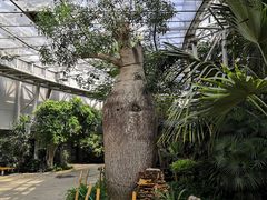 -北京植物园-展览温室