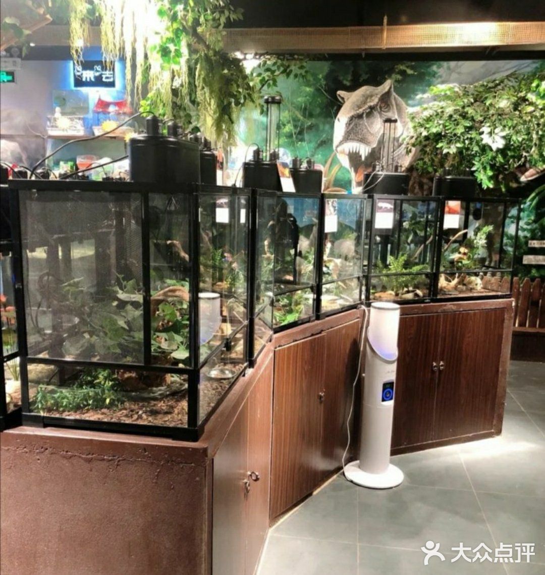 小动物们我们来啦
