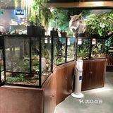 小动物们我们来啦