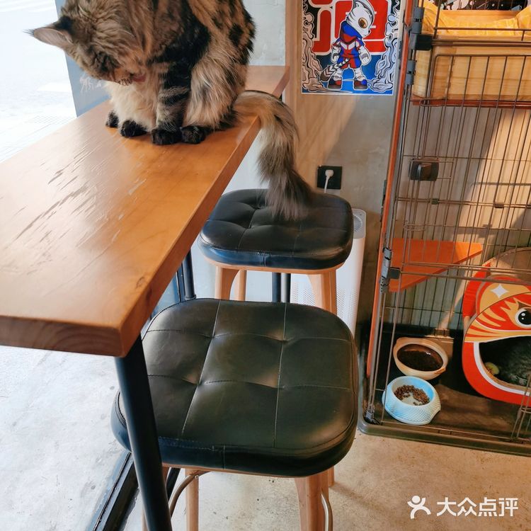 东山口＃小资咖啡馆✔️梁渣渣咖啡☕