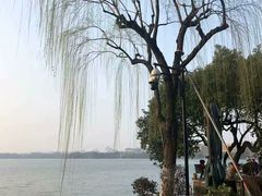 -西湖外事游船(花港观鱼码头)