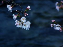 -西湖天地