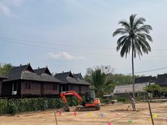 -西双版纳傣族园