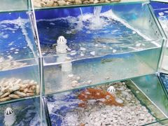 水产区-雅逸居海鲜小厨