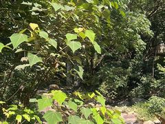 -福清灵石山国家森林公园