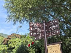 -北京西山国家森林公园