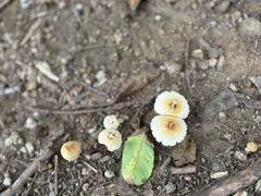 -天津盘山风景名胜区