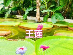 -国家植物园南园