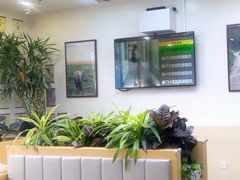 -美联众合动物医院·24h转诊中心