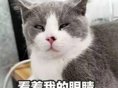 -秘宅KTV(马甸桥店)