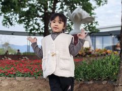 -金鸡山公园