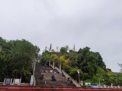 -铁山坪森林公园