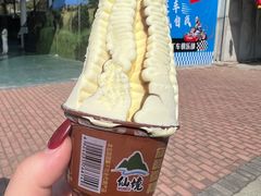 -泉州海丝野生动物世界