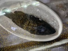 -眼镜哥浦江夜宵大本营