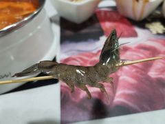 -魔法帽酱料牛肉小火锅(米兰店)