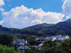 -龙井村
