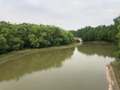 -上海海湾国家森林公园