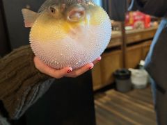 -永安鱼庄·镇江菜(丁卯店)