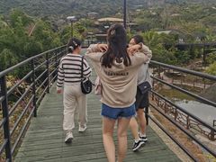 -海南槟榔谷黎苗文化旅游区