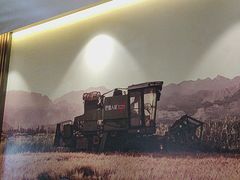 -巴盟人家·内蒙地方菜(华丽家族店)