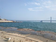 -星海湾跨海大桥