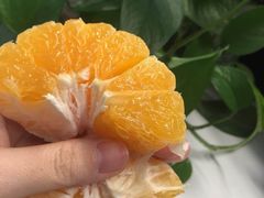 -黄毛鸭脖(汉阳总店)