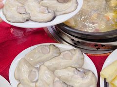 -花苑美食横琴生蚝火锅(拱北粤华路店)