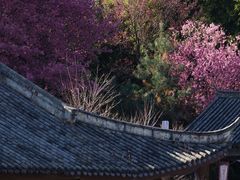 -天龙八部武侠城