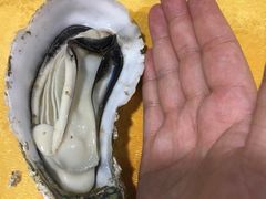 -蚝专家(北滘店)