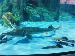 -常州海昌海洋探索馆