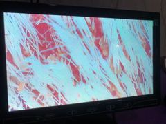 -福懋动物医院·犬猫全科·外科·重症科(杏林分院)