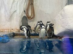 -太平洋海底世界