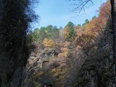 -茅兰沟国家森林公园