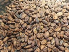 -大锅强·蒸海鲜青岛菜(吾悦广场店)