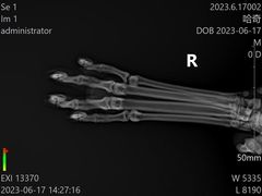 -艾贝尔宠物诊疗