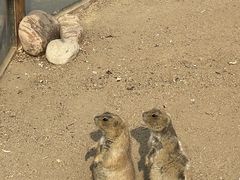 -祥源·阜阳生态乐园