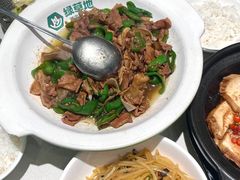 -绿草地·湘菜(7mall店)