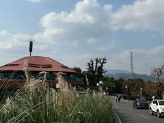 -如意山房柿子树下餐厅