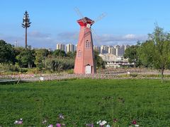 -三垟湿地