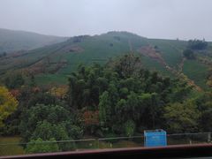 -天目湖御水温泉·度假酒店