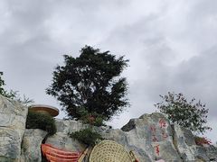 -三亚红色娘子军演艺公园景区