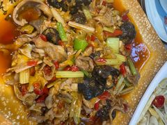 -青城甲(青城山店)