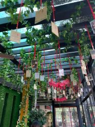 -保丽宝泰母婴护理院·月子中心·产康·中医(常州店)