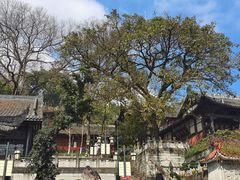-中国观音故里广德景区