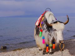 -青海湖国家重点风景名胜区