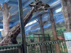 -鄂尔多斯野生动物园